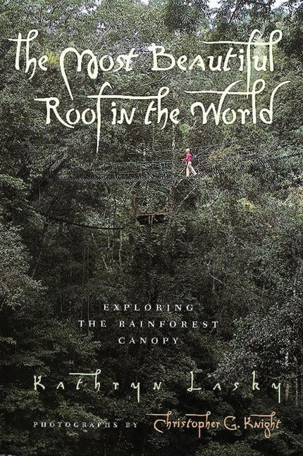 The Most Beautiful Roof in the World: Exploring the Rainforest Canopy book cover by Kathryn Lasky