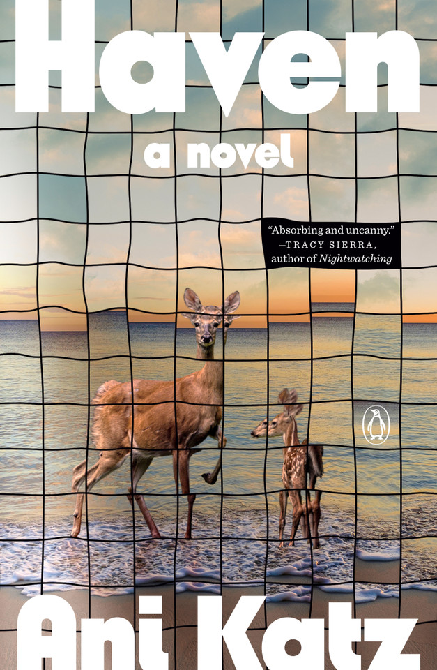 Haven: A Novel book cover by Ani Katz