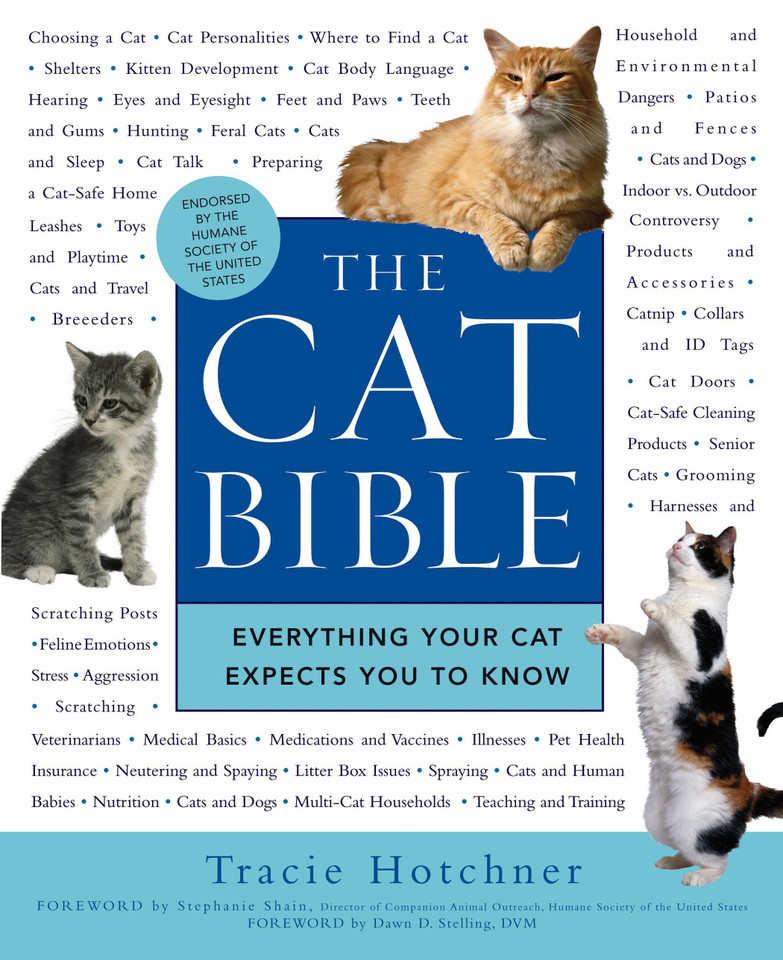 The Cat Bible: Everything Your Cat Expects You to Know book cover by Tracie Hotchner