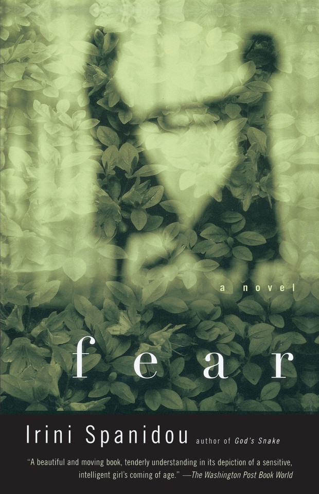 Fear: A Novel (Vintage International) book cover by Irini Spanidou