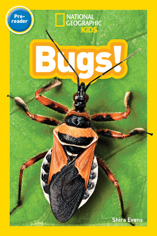 Bugs! (National Geographic Kids Readers, Pre-Reader) (National Geographic Kids Readers) book cover by Shira Evans, National Geographic Kids