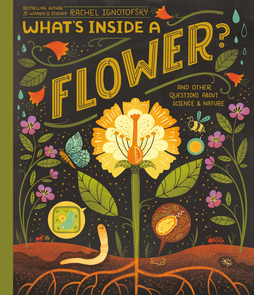 What's Inside A Flower?: And Other Questions About Science & Nature (What's Inside) book cover by Rachel Ignotofsky
