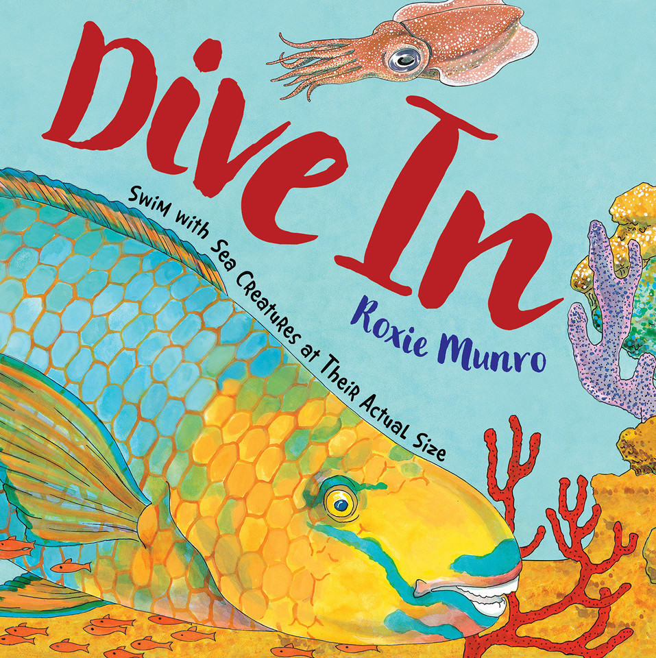 Dive In: Swim with Sea Creatures at Their Actual Size book cover by Roxie Munro