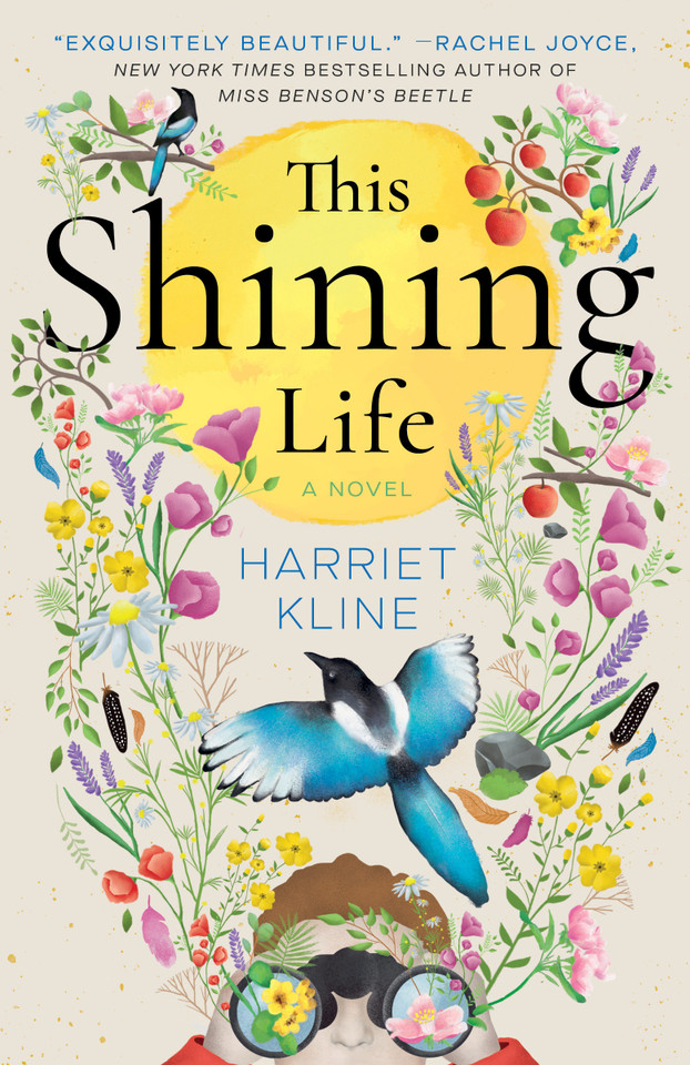 This Shining Life: A Novel book cover by Harriet Kline