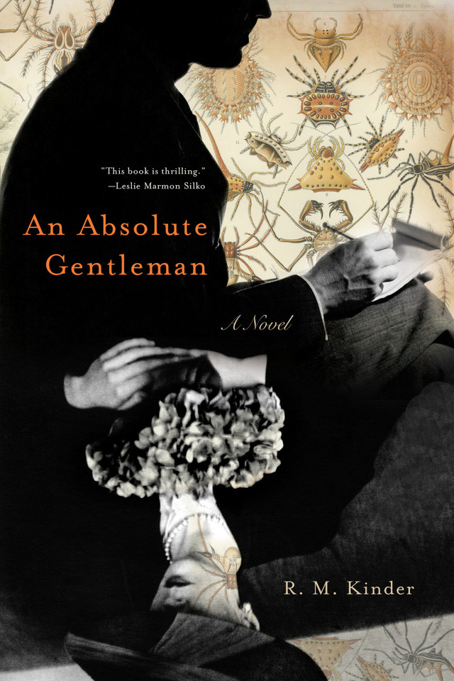An Absolute Gentleman: A Novel book cover by R. M. Kinder