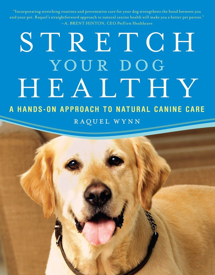 Stretch Your Dog Healthy: A Hands-On Approach to Natural Canine Care book cover by Raquel Wynn
