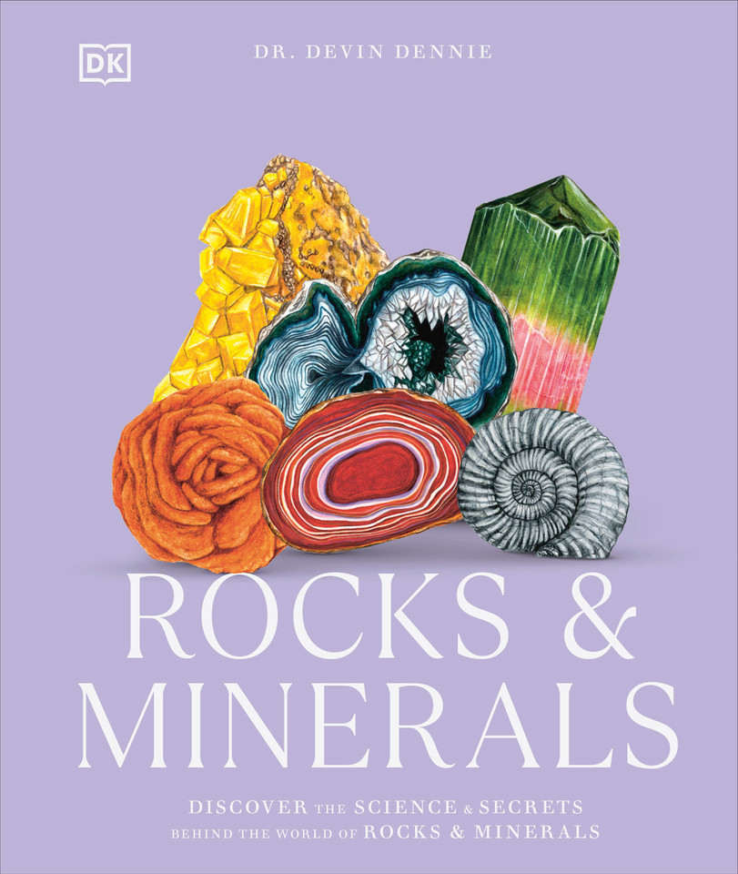 Rocks & Minerals (Science and Secrets of Natural History) book cover by DK