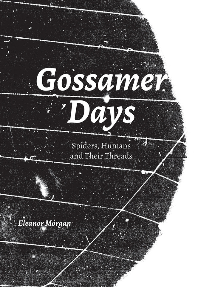 Gossamer Days: Spiders, Humans and Their Threads book cover by Eleanor Morgan