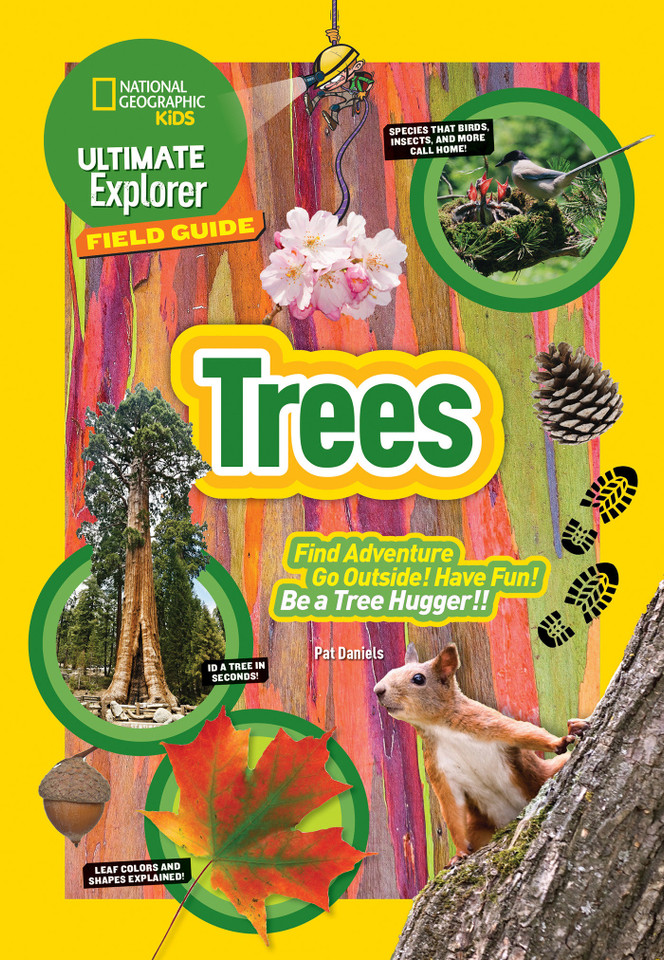 Ultimate Explorer Field Guide: Trees (NGK Ultimate Explorer Field Guides) book cover by Patricia Daniels