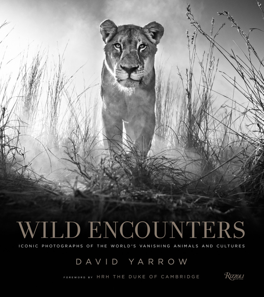 Wild Encounters: Iconic Photographs of the World's Vanishing Animals and Cultures book cover by David Yarrow