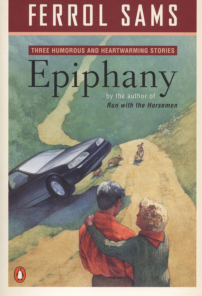 Epiphany: Stories book cover by Ferrol Sams