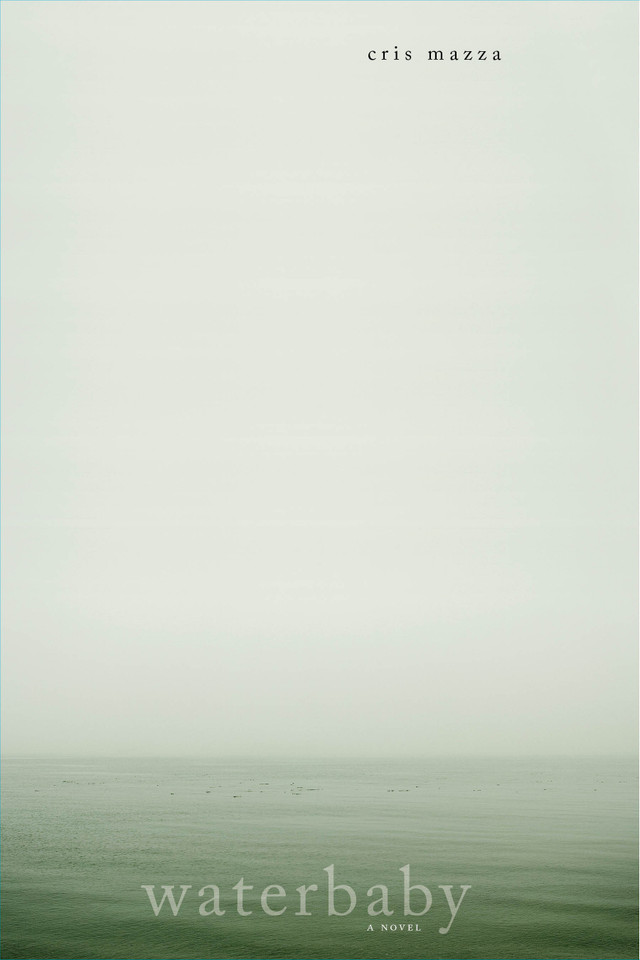 Waterbaby: A Novel book cover by Cris Mazza