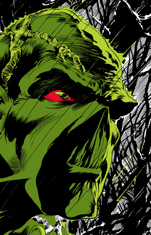 Absolute Swamp Thing by Len Wein and Bernie Wrightson book cover by Len Wein
