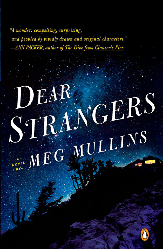 Dear Strangers: A Novel book cover by Meg Mullins