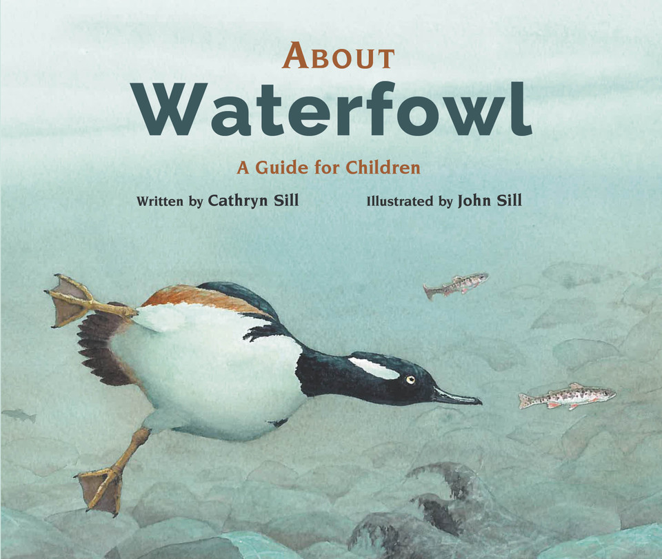 About Waterfowl: A Guide for Children (About. . .) book cover by Cathryn Sill