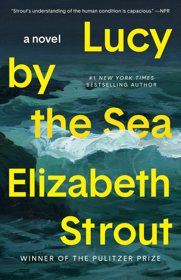 Lucy by the Sea: A Novel book cover by Elizabeth Strout