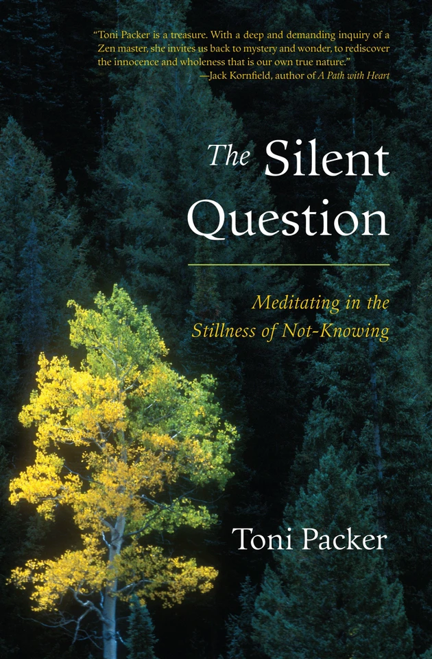 The Silent Question: Meditating in the Stillness of Not-Knowing book cover by Toni Packer