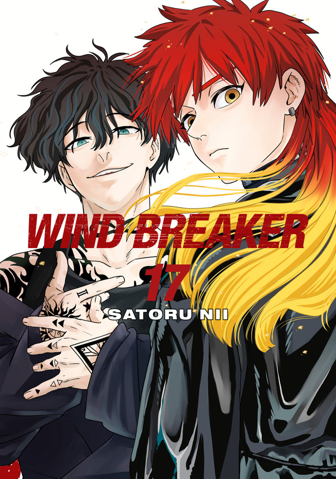 WIND BREAKER 17 (WIND BREAKER) book cover by Satoru Nii
