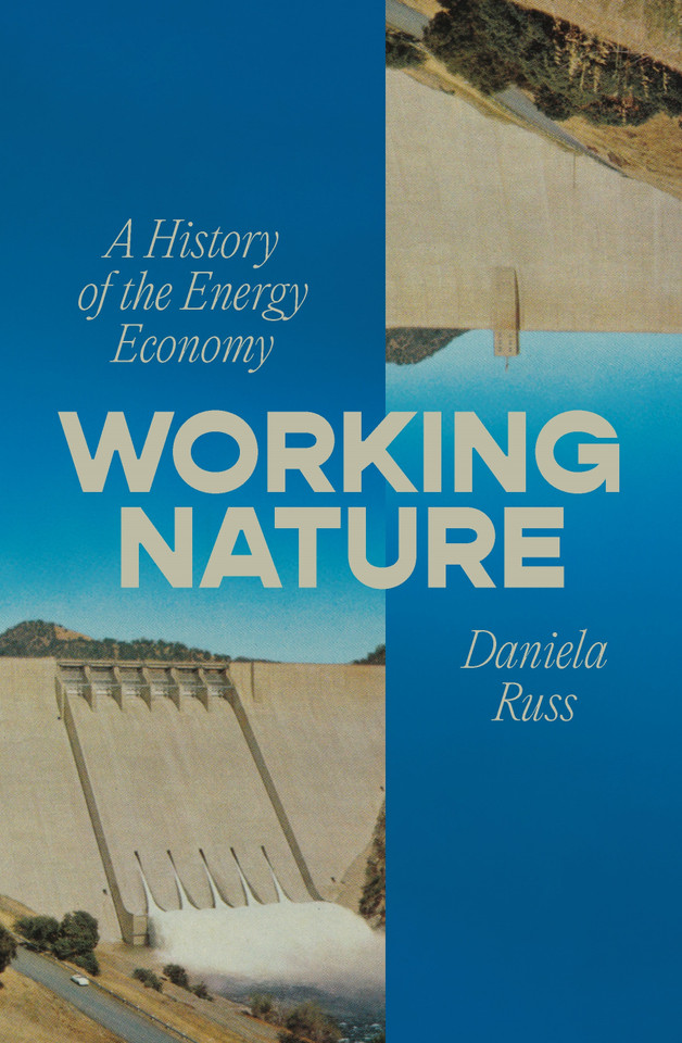 Working Nature: A History of the Energy Economy book cover by Daniela Russ