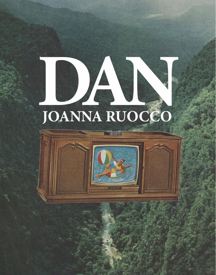 Dan book cover by Joanna Ruocco