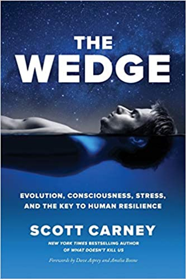 The Wedge: Evolution, Consciousness, Stress, and the Key to Human Resilience Cover
