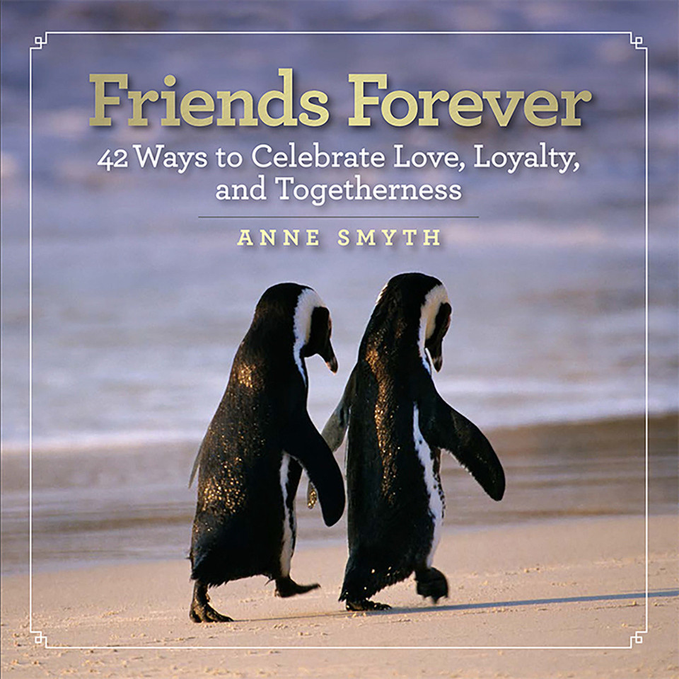 Friends Forever: 42 Ways to Celebrate Love, Loyalty, and Togetherness book cover by Anne Rogers Smyth