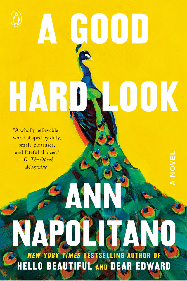 A Good Hard Look: A Novel book cover by Ann Napolitano