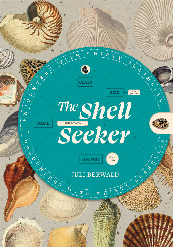 The Shell Seeker: Encounters with Thirty Seashells book cover by Juli Berwald