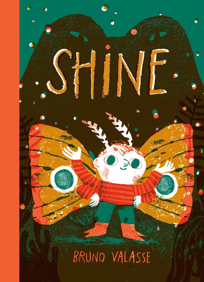 Shine book cover by Bruno Valasse