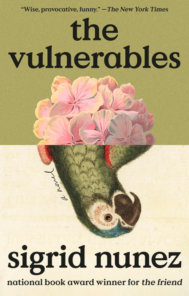 The Vulnerables: A Novel book cover by Sigrid Nunez