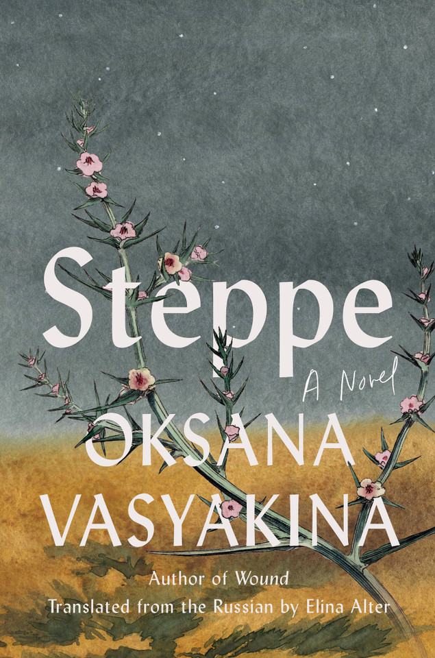Steppe: A Novel book cover by Oksana Vasyakina