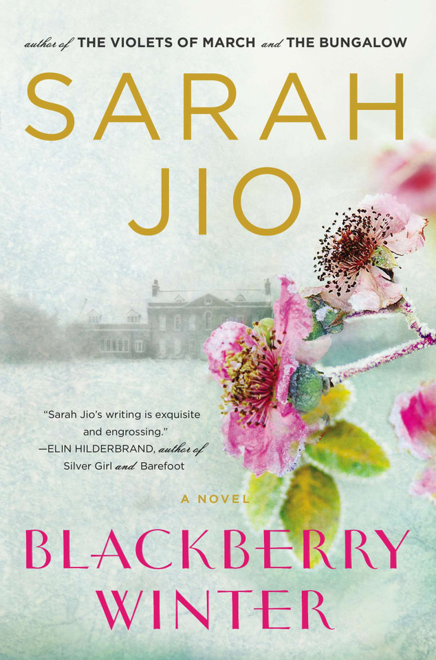 Blackberry Winter: A Novel book cover by Sarah Jio