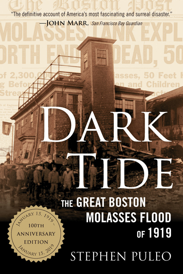 Dark Tide: The Great Boston Molasses Flood of 1919 book cover by Stephen Puleo