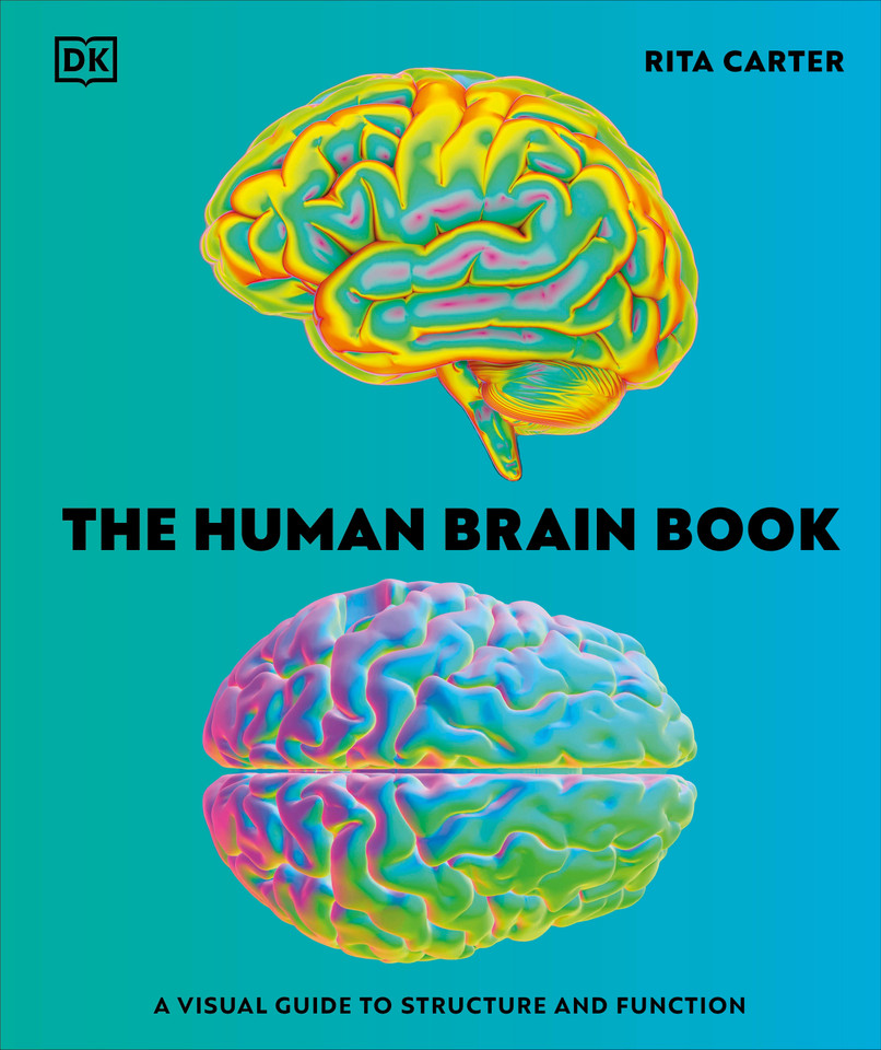 The Human Brain Book: A Visual Guide to the Structure and Function book cover by Rita Carter