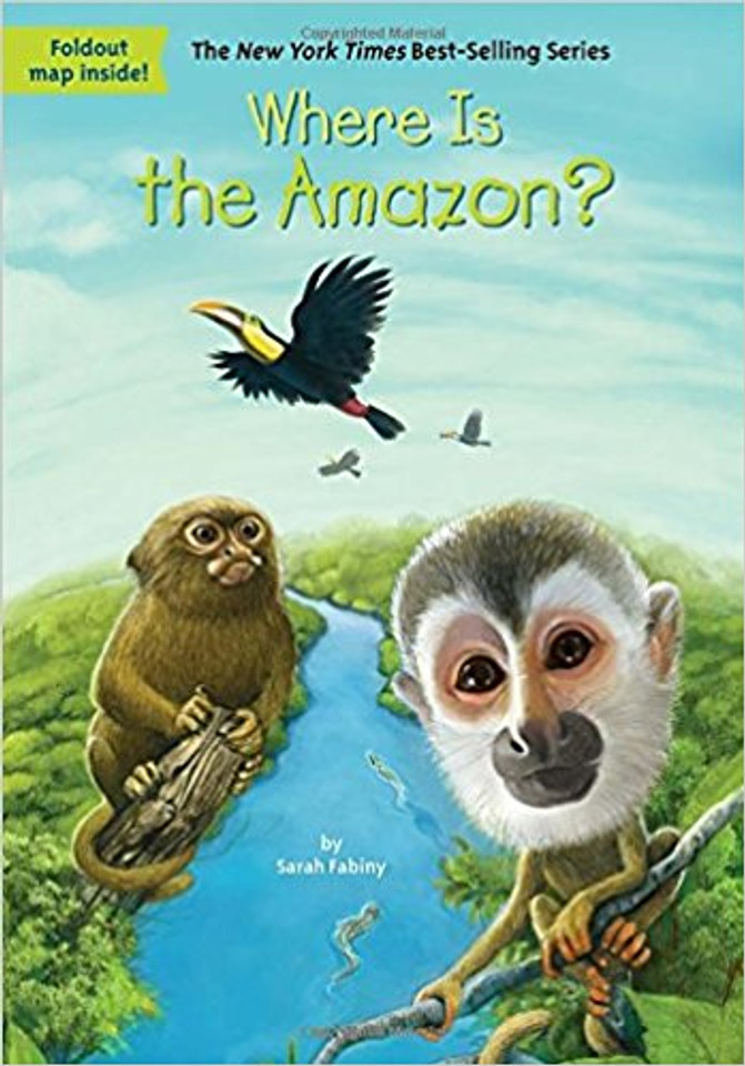 Where Is the Amazon? ( Where Is...? ) Cover
