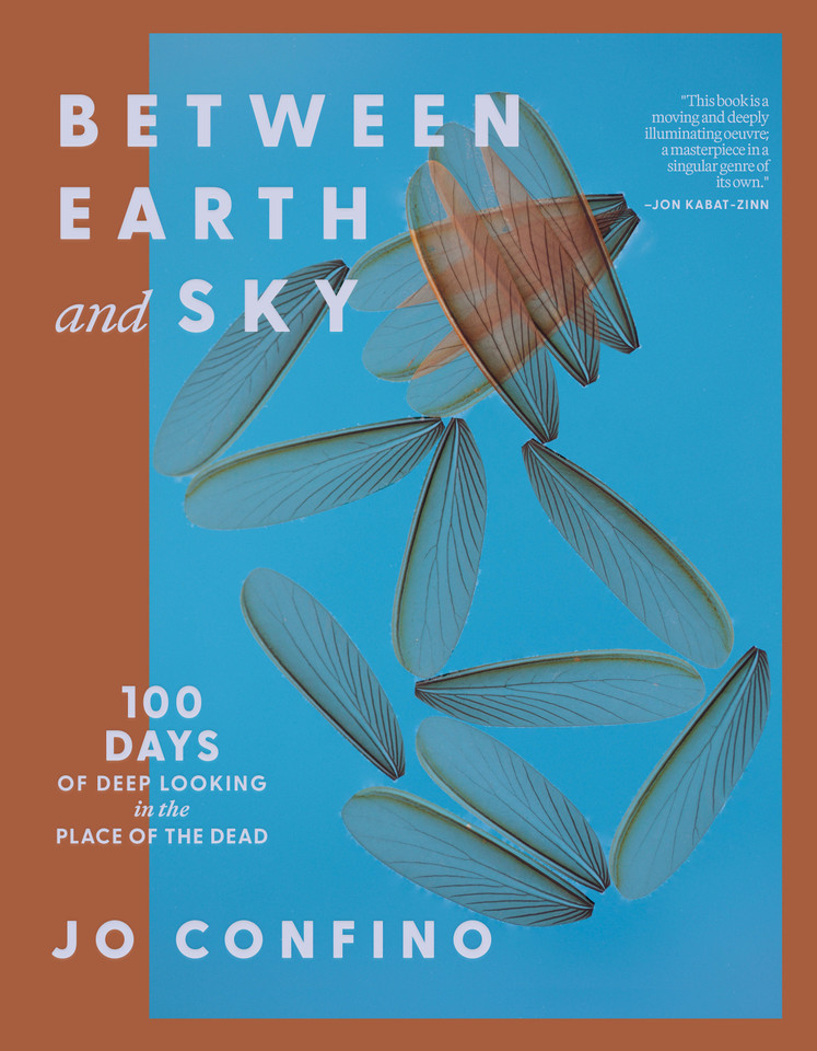 Between Earth and Sky: 100 Days of Deep Looking in the Place of the Dead book cover by Jo Confino