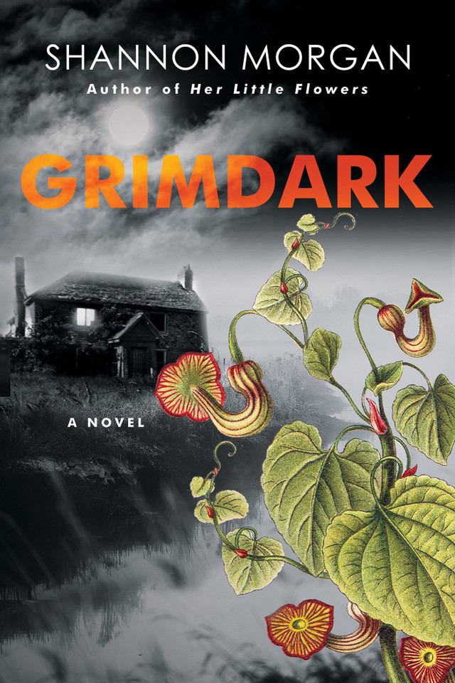Grimdark book cover by Shannon Morgan