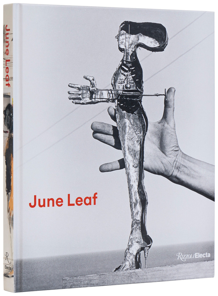 June Leaf: Shooting from the Heart book cover by 