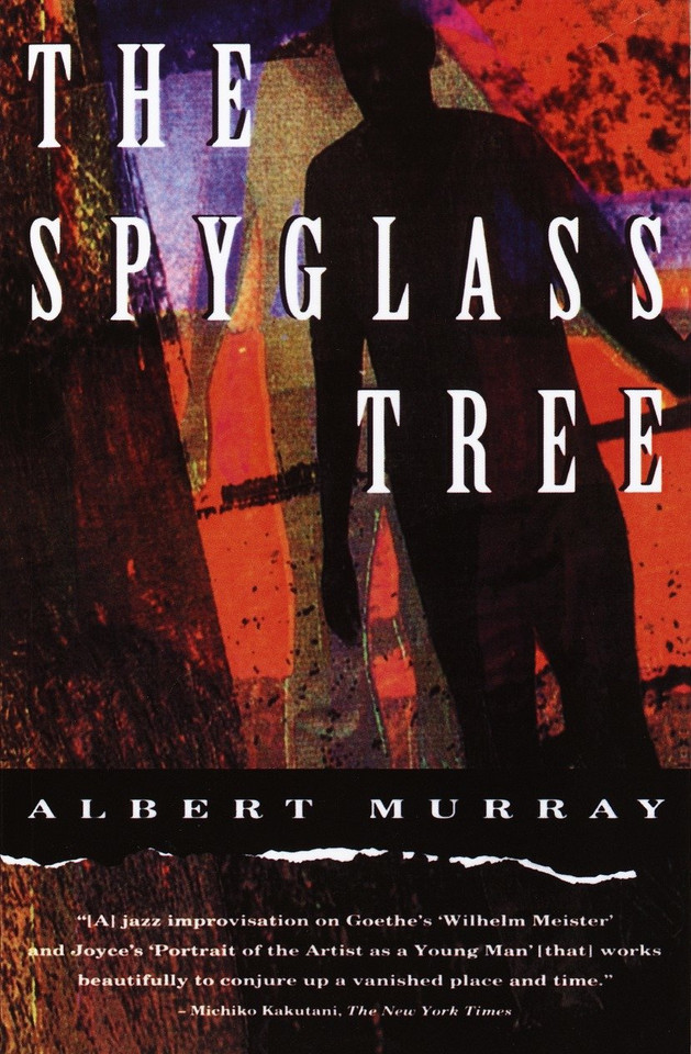 The Spyglass Tree book cover by Albert Murray