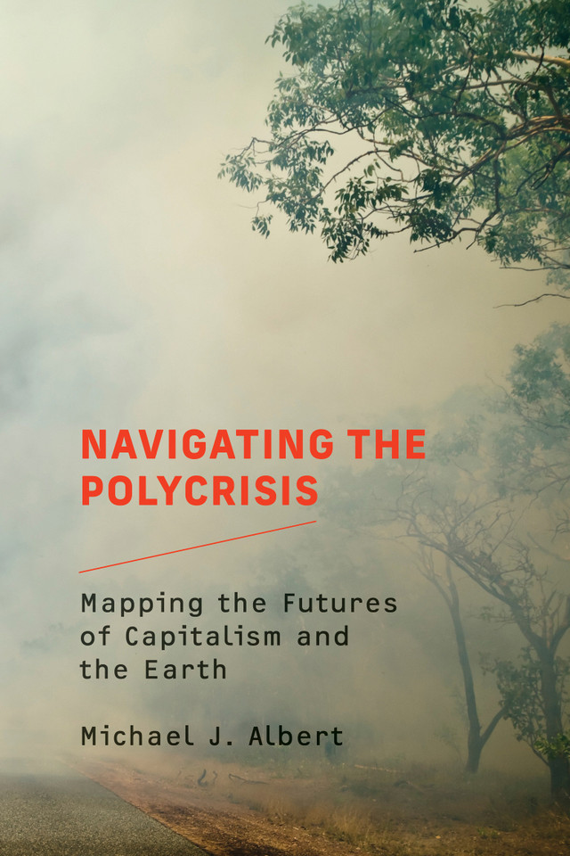 Navigating the Polycrisis: Mapping the Futures of Capitalism and the Earth book cover by Michael J. Albert
