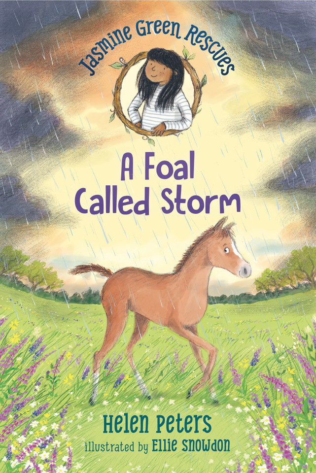 Jasmine Green Rescues: A Foal Called Storm (Jasmine Green) book cover by Helen Peters