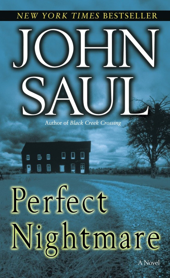 Perfect Nightmare: A Novel book cover by John Saul
