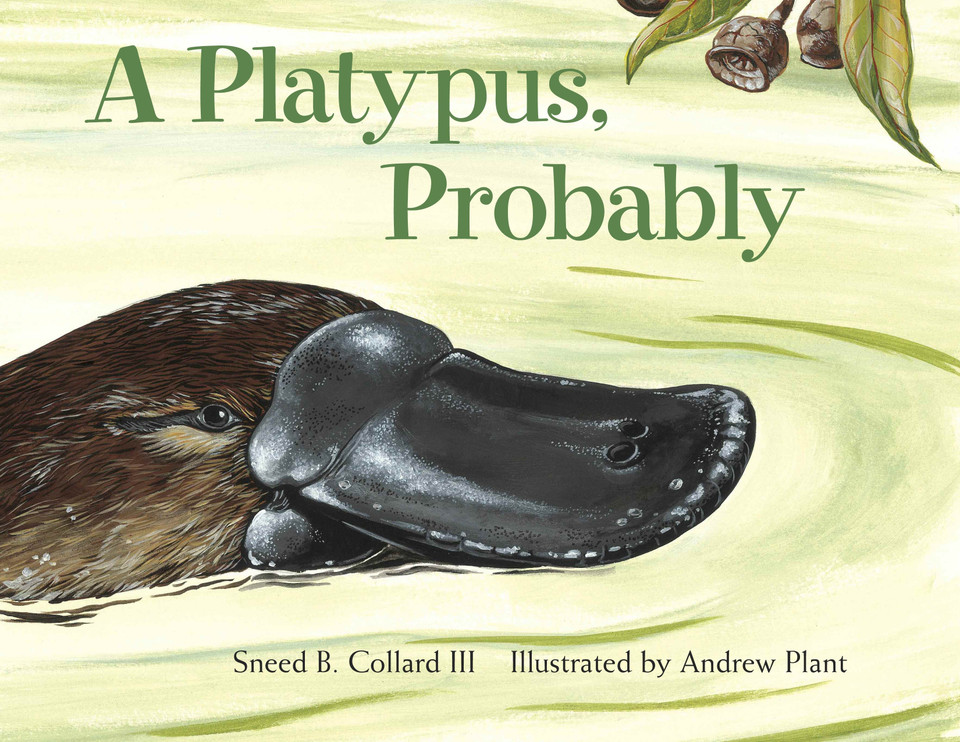 A Platypus, Probably book cover by Sneed B. Collard III