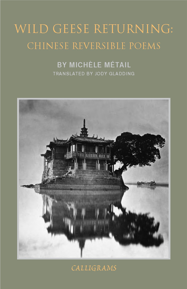 Wild Geese Returning: Chinese Reversible Poems book cover by Michele Metail