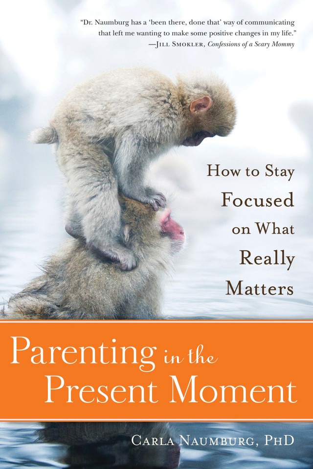 Parenting in the Present Moment: How to Stay Focused on What Really Matters book cover by Carla Naumburg