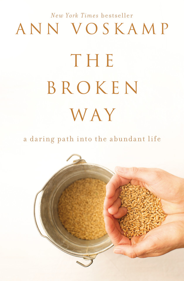 The Broken Way: A Daring Path into the Abundant Life [9780310318583]