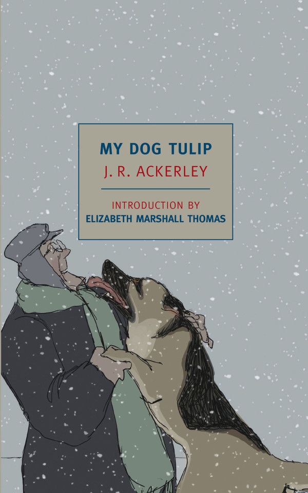 My Dog Tulip: Movie tie-in edition book cover by J. R. Ackerley