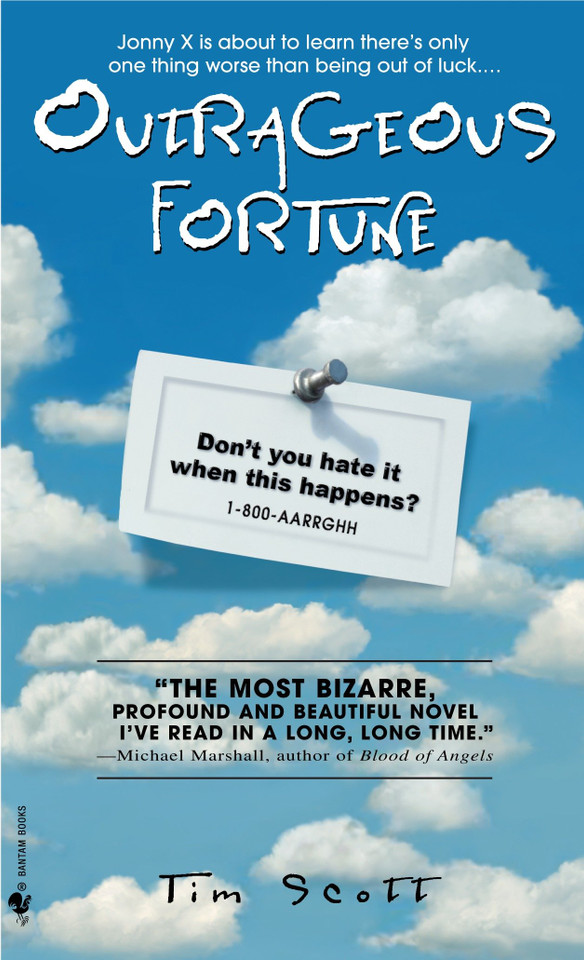 Outrageous Fortune: A Novel book cover by Tim Scott