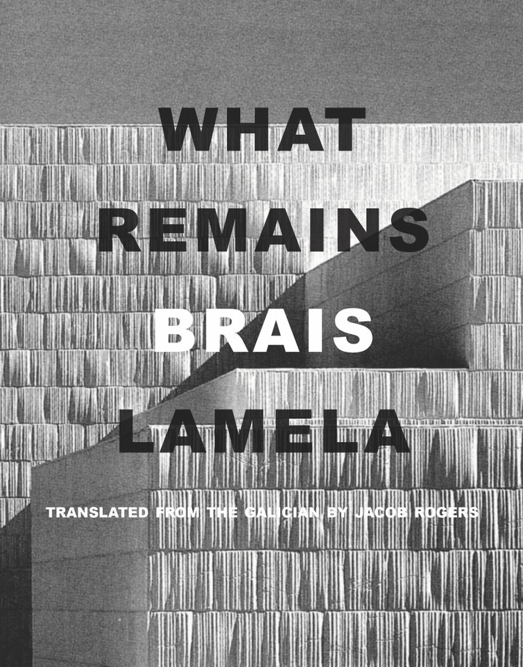 What Remains book cover by Brais Lamela