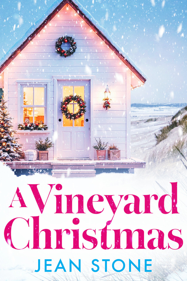 A Vineyard Christmas (A Vineyard Novel) book cover by Jean Stone